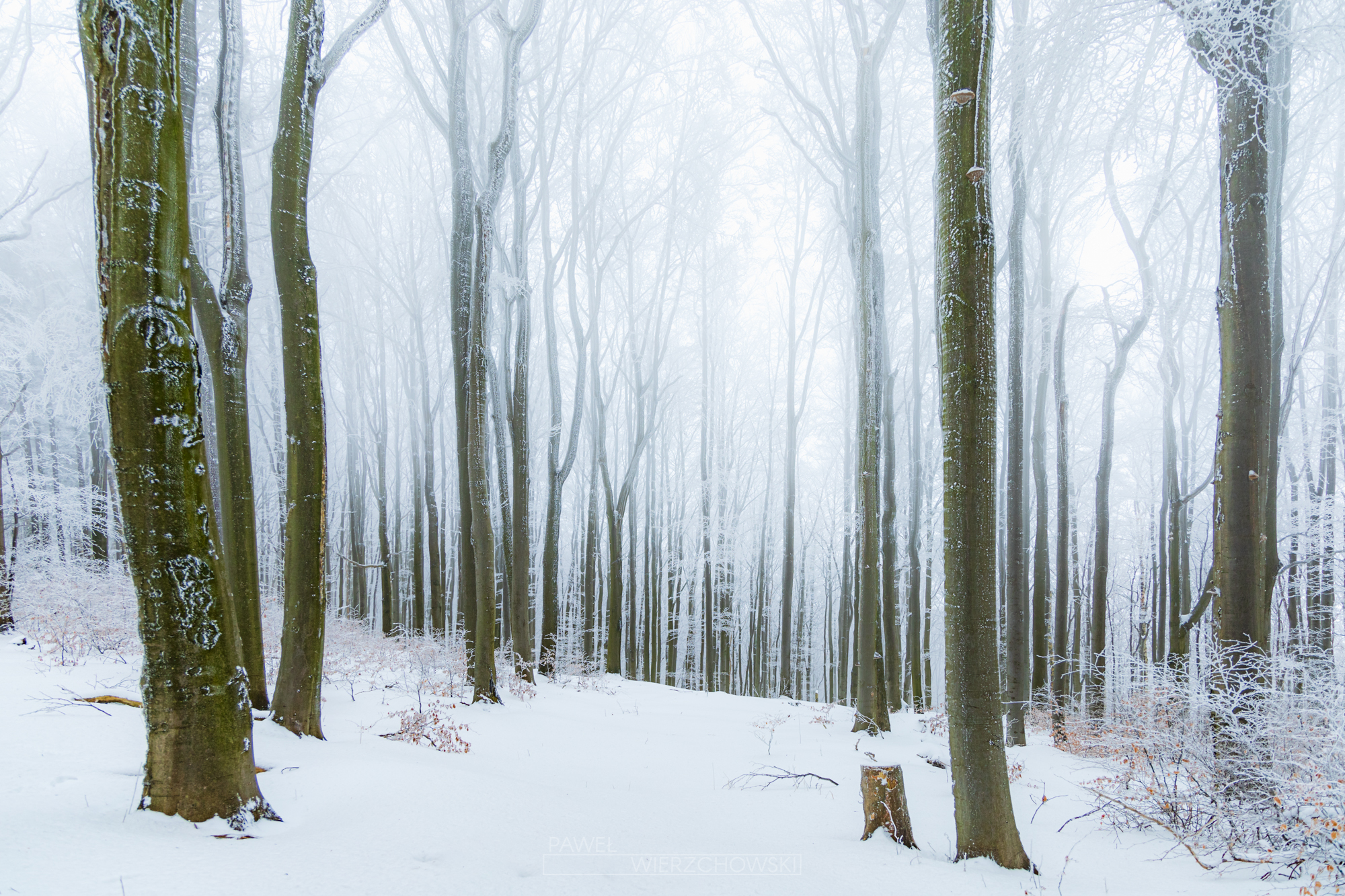 gory-bardzkie-klodzko-8